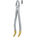 Tooth Extracting Forceps